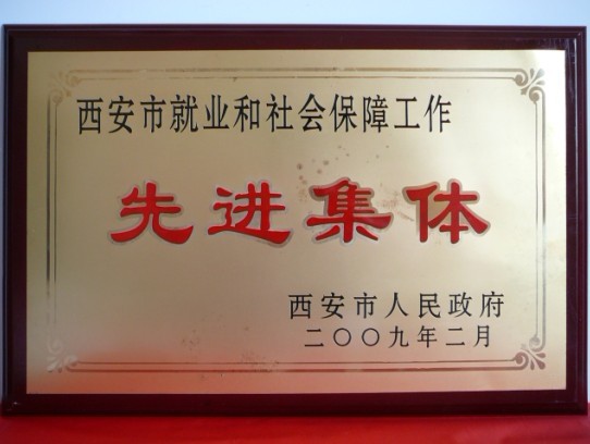2009年2月，被西安市政府評為西安市就業和社會保障工作先進集體